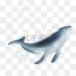 京鱼资料,揭秘古都风华与历史传承