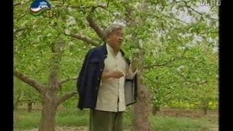 张新华演员,光影人生，演绎非凡魅力