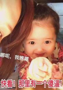 网红小刚几哪里