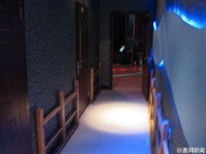 ktv不雅图片,一场道德与法律的较量