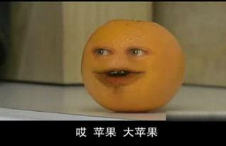 橙子胖了搞笑视频,笑料横生！搞笑视频带你欢乐一整天