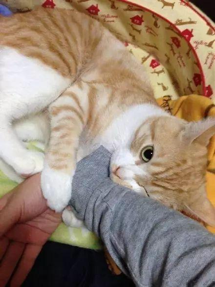 别走图片搞笑,搞笑瞬间让你笑到肚子疼！