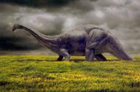 雷龙相关资料,远古巨兽的传奇与奥秘