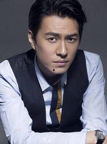 杨栎个人资料,音乐才子与影视新星的跨界人生