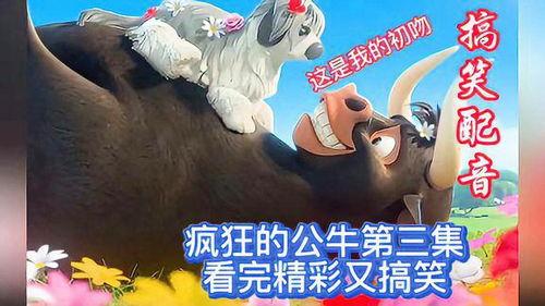 配音斗牛搞笑,笑料百出，斗牛变喜剧