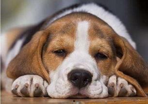 搞笑又考验智商的问题,挑战你的智商极限，趣味问题大集合