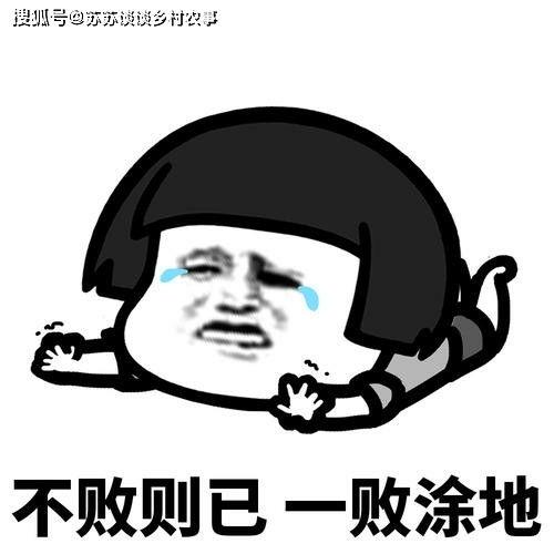 搞笑又考验智商的问题,挑战你的智商极限，趣味问题大集合