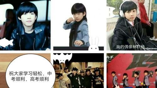 林秋楠的个人资料,才华横溢的青年才俊，多领域成就斐然