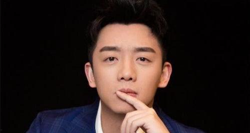 明星强势背景资料,揭秘明星背后的强势背景与辉煌人生